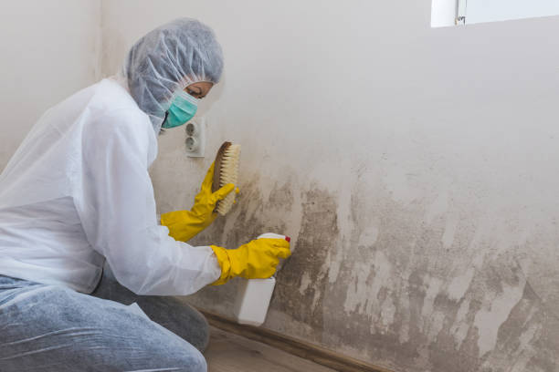 Best Crawl Space Mold Removal  in Francisville, KY