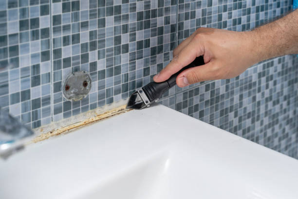 Best Black Mold Removal  in Francisville, KY